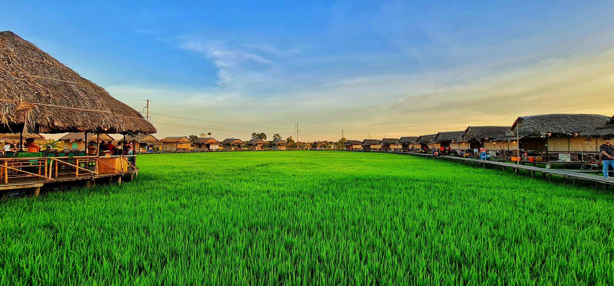 Ảnh nhỏ 1