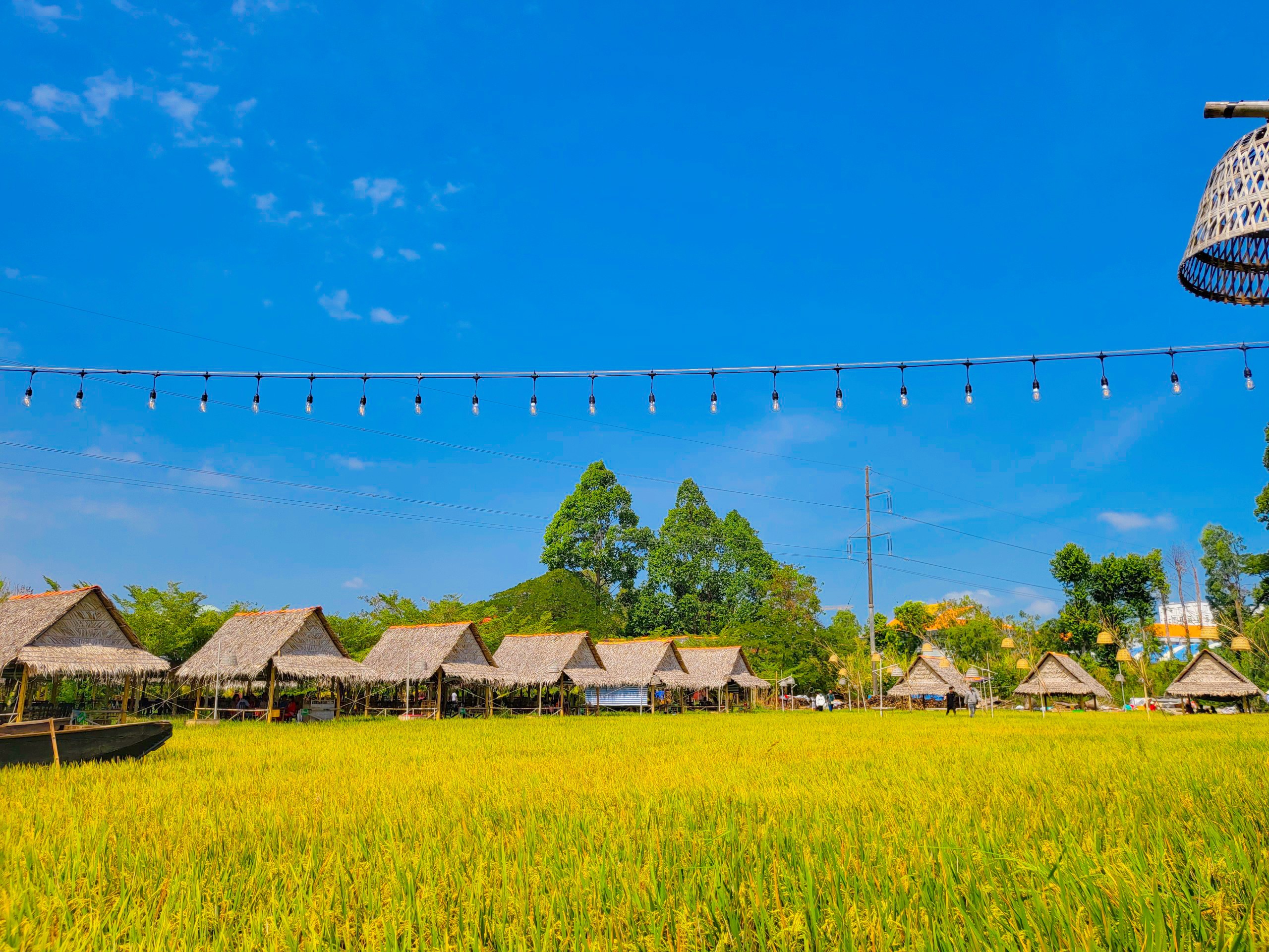 Ảnh nhỏ 1