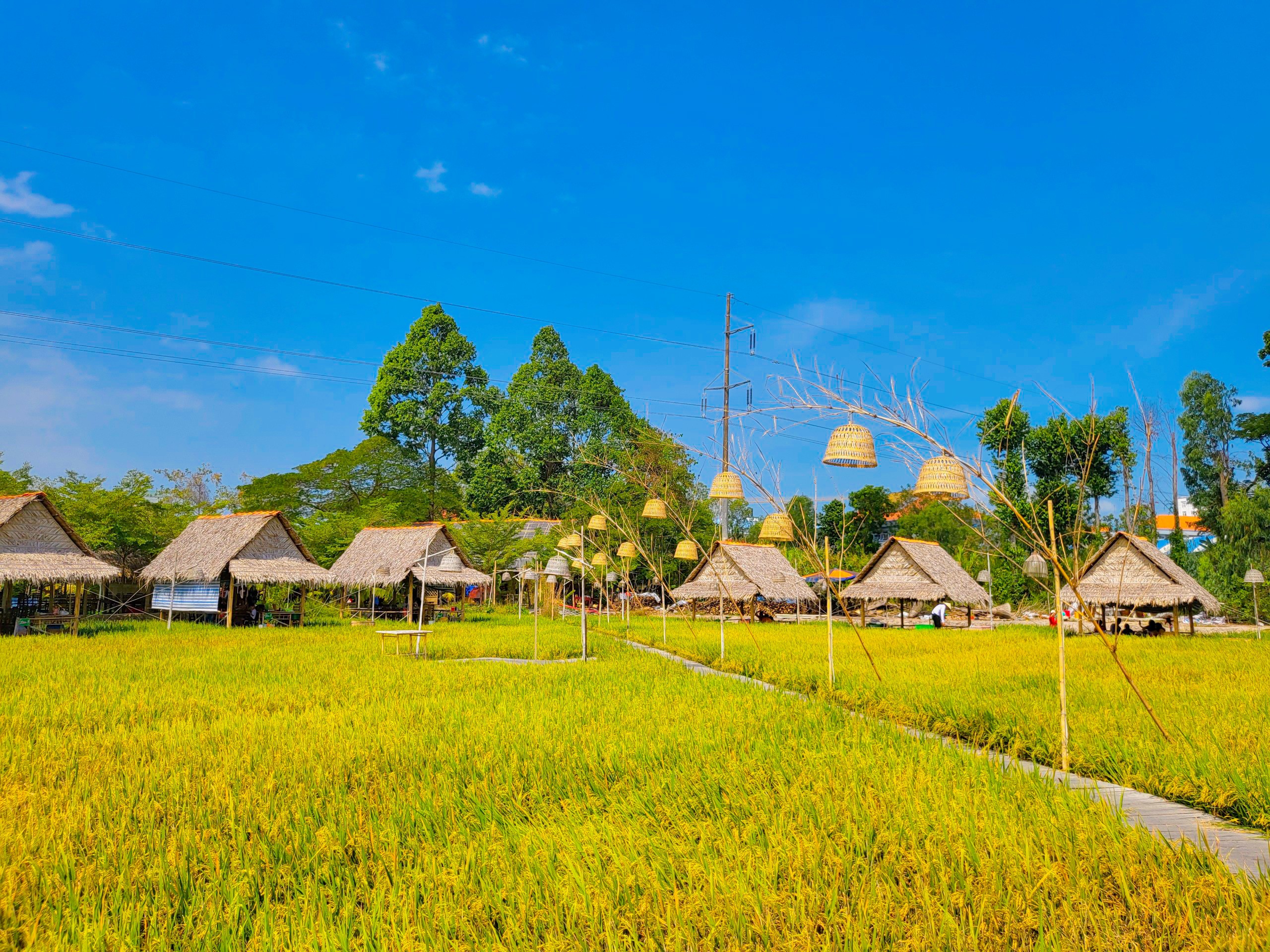 Ảnh chính