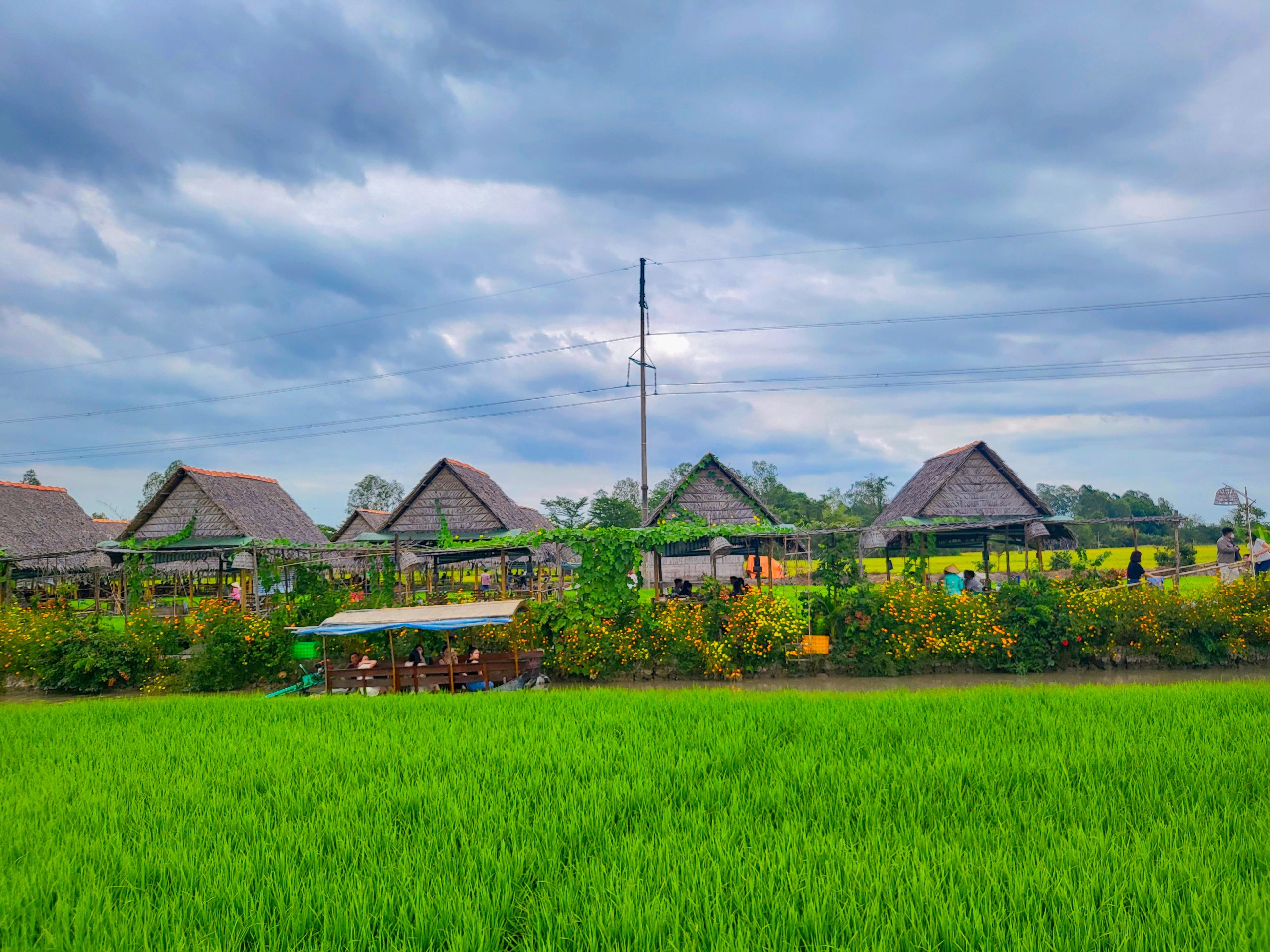 Ảnh nhỏ 1