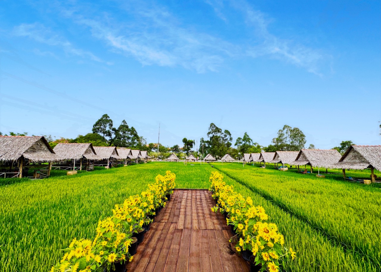 Ảnh nhỏ 1